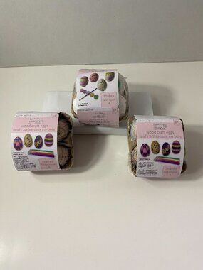 Creatology Easter Wood & Plaster Craft Eggs Art Kits